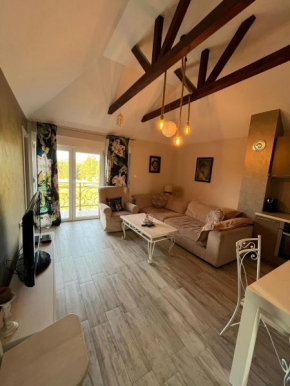 Apartman Jana 4